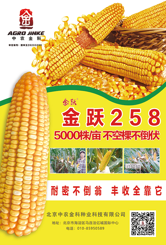 S258-׷N-r