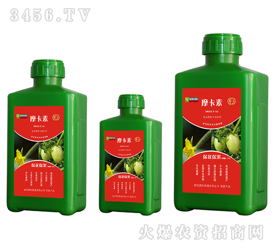 Һķ-Ħ-(qing)о