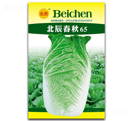 北辰春秋65-大白菜種子-北方種業(yè)