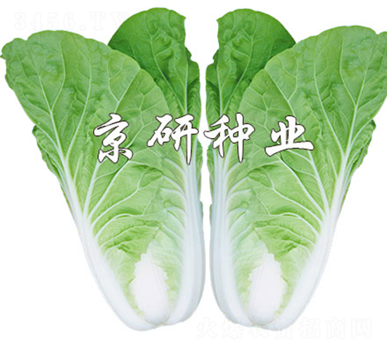 п8̖(ho)-˷N-