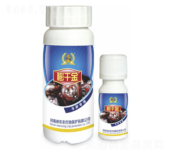R㌣(zhun)~-ǧ-r(nng)