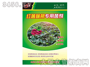 tպ(zhun)þ-Sr(nng)I(y)