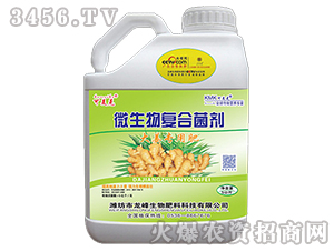 ΢(f)Ͼ-󽪌(zhun)-
