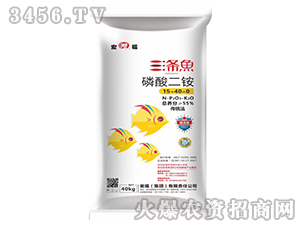 磷酸二銨-三條魚-甕福集團