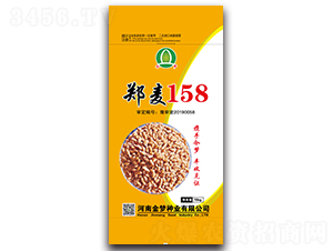 鄭麥158（15kg）-小麥種子-金夢(mèng)種業(yè)