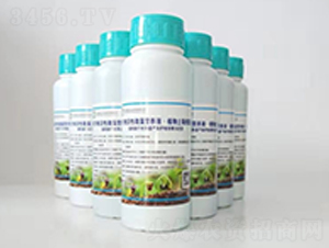 Сסˮ΢IB(yng)ҺҺ-