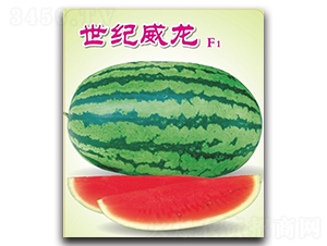 o-ϷN-߿ƷNI(y)