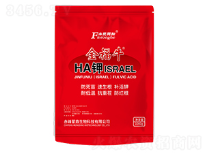ţHA⛣ISRAEL-͝rI(y)