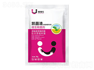 ̿Ҳ(zhun)΢-P-ڼژ(l)