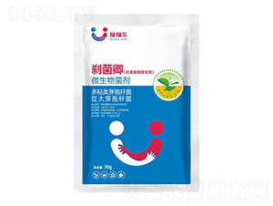 Sή(zhun)΢-x-ڼژ(l)
