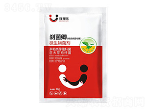 (zhun)΢-x-ڼژ(l)