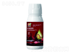 200gֲ-еr
